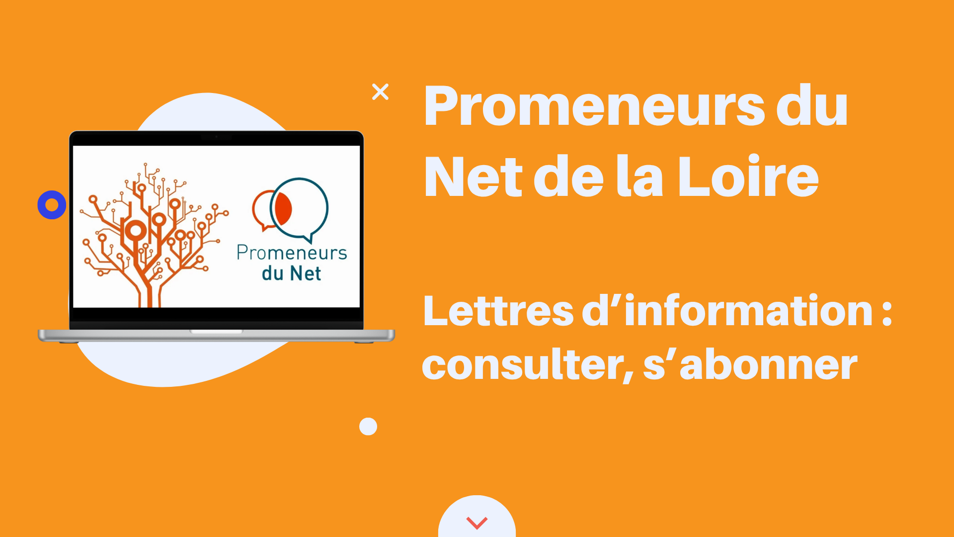 PDN 42 lettres d'information